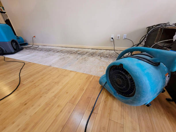 Professional Emergency Water Damage technician working in South China, ME